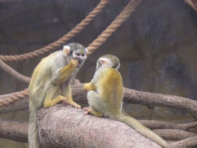 Park of the Legends Zoo