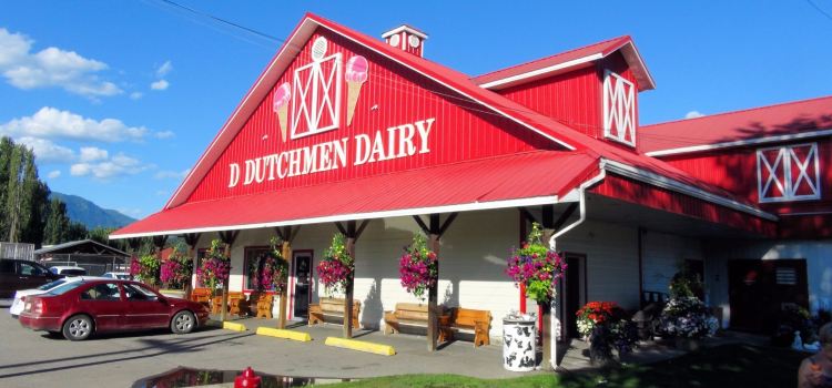 D Dutchmen Dairy Ltd
