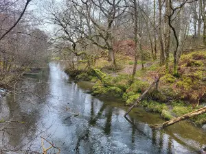 Loch Lomond Faerie Trail