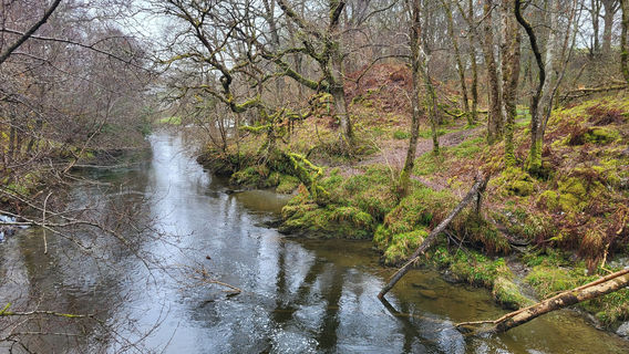 Loch Lomond Faerie Trail