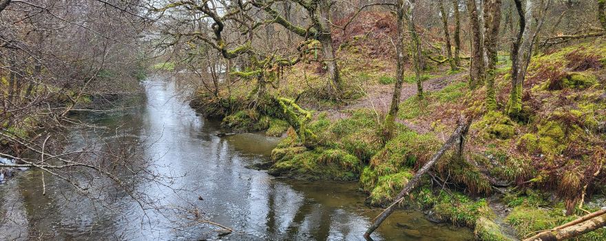 Loch Lomond Faerie Trail
