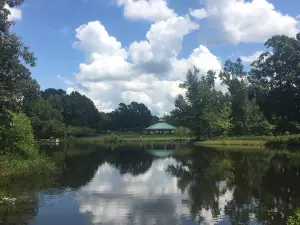 Lenora Park