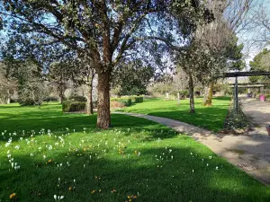 Botanical Garden