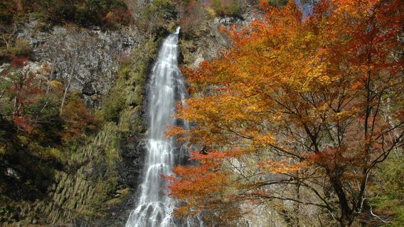 Tendaki Falls