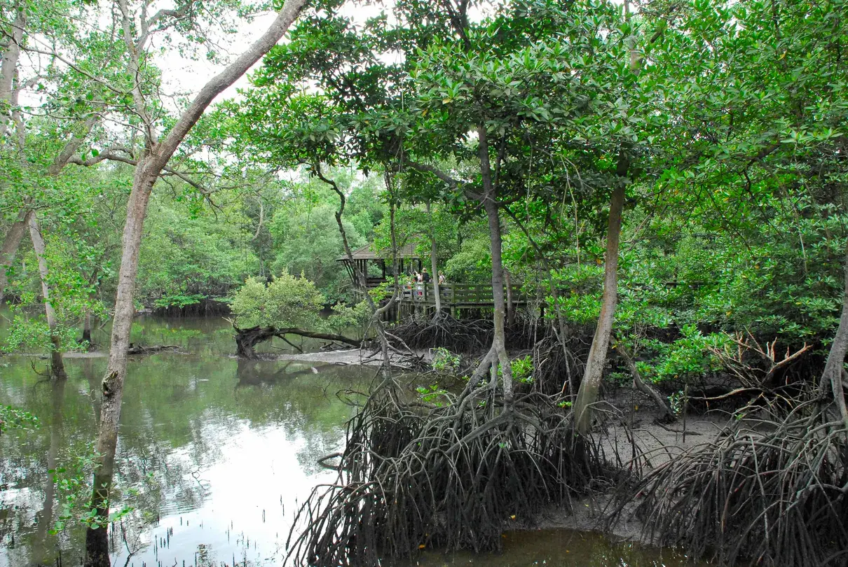 5_雙溪布洛濕地保護區