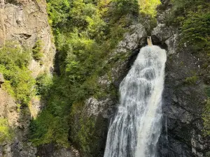 Falls of Foyers