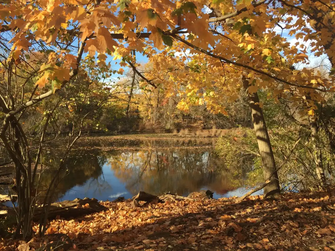 Các khách sạn gần East Rock Park