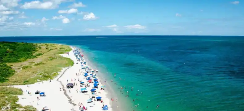 Hoteles en Key Biscayne