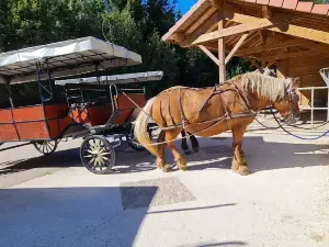 Les Calèches du Saut du Doubs