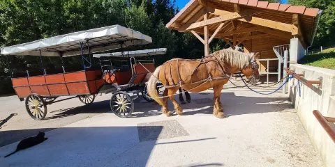 Les calèches du Saut du Doubs