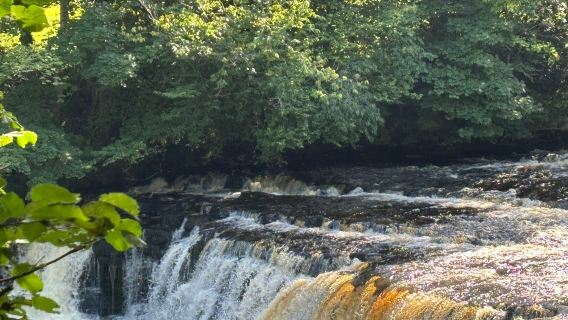 Aysgarth Falls