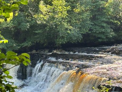 Aysgarth Falls