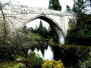Kildrummy Castle