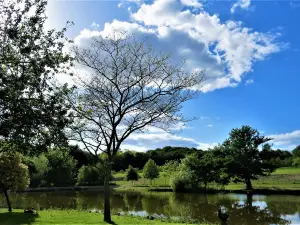 Le Jardin Des Kangourous