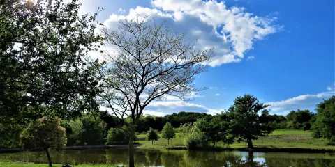 Le Jardin des Kangourous