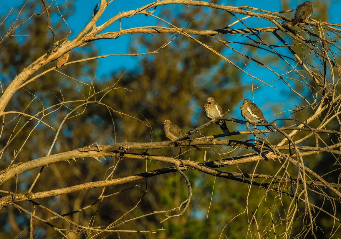 2_The I-20 Wildlife Preserve & Jenna Welch Nature Study Center