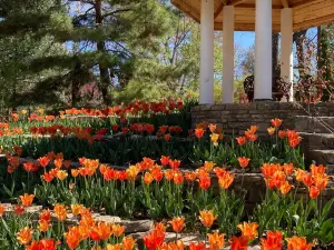 Bartlett Arboretum