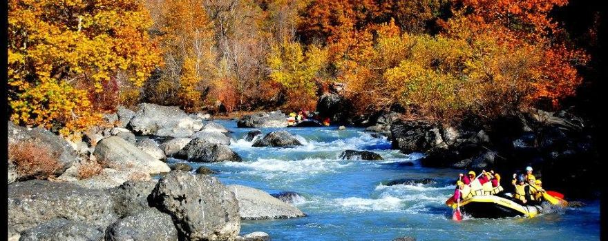 Grevena