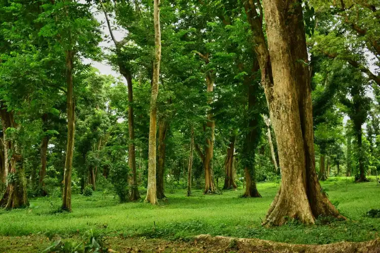 Hotels in Los Baños