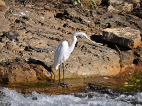 Katherine Low Level Nature Reserve