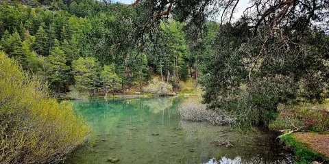 Lac de Saint-Apollinaire
