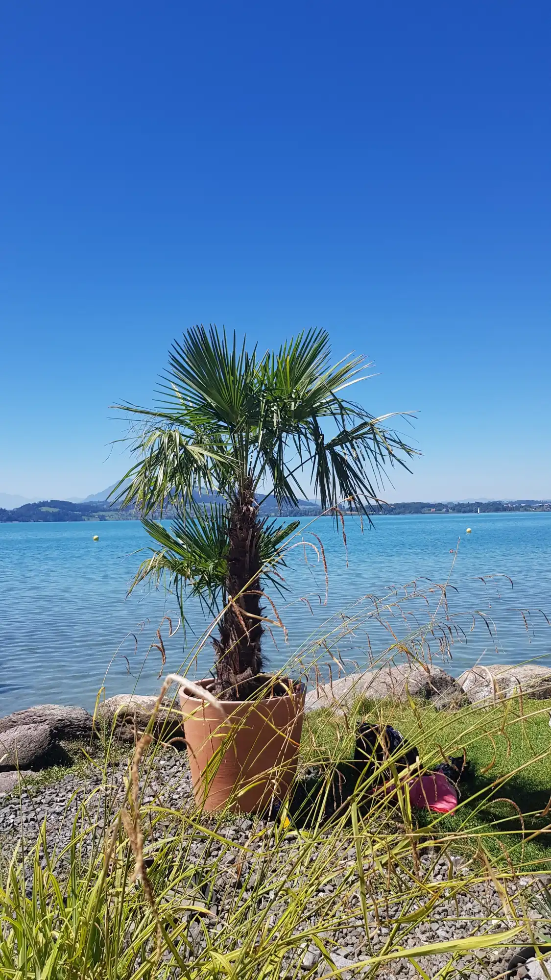Hotels near Strandbad