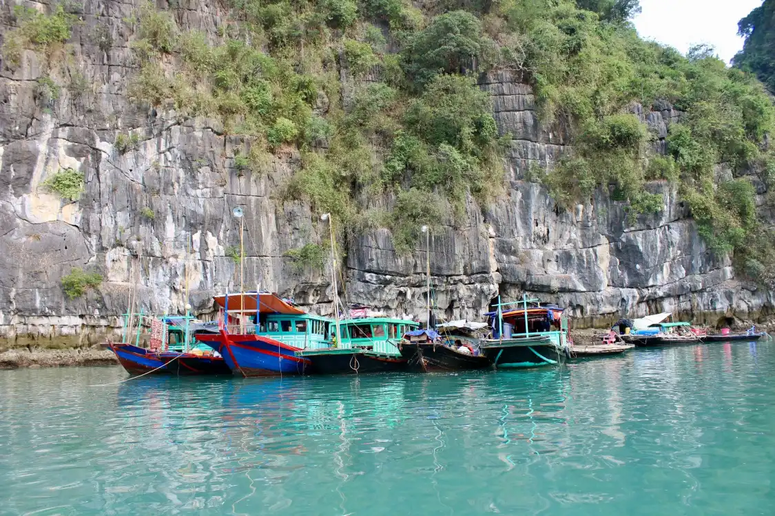 Hotel in zona Cua Van Floating Village