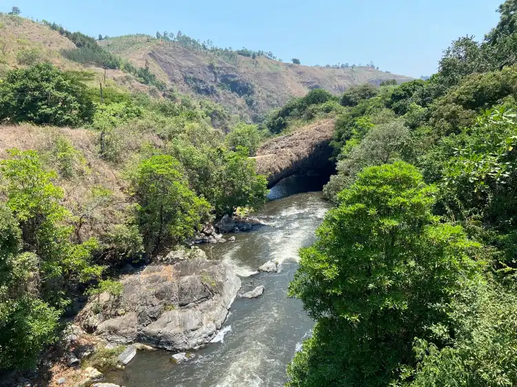 Hotels near Daraja la Mungu