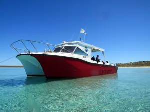 Shark Bay Eco Tours