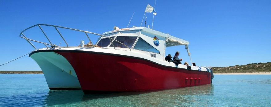 Shark Bay Eco Tours