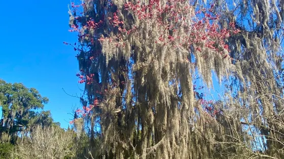 Egan's Creek Park