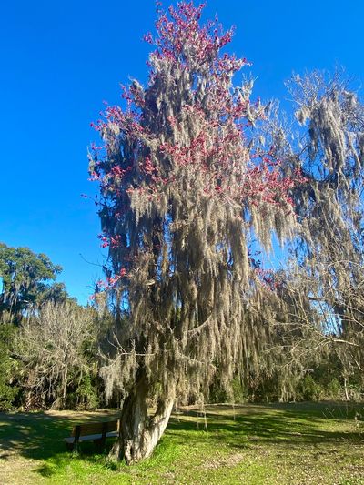 Egan's Creek Park