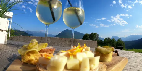 Azienda Agricola Il Ritorno