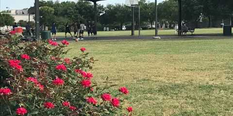 Elizabeth M. Milburn Park