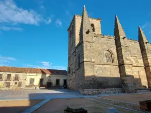 Iglesia Colegiata de San Martin