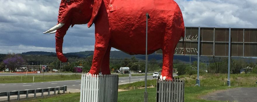 The Big Red Elephant