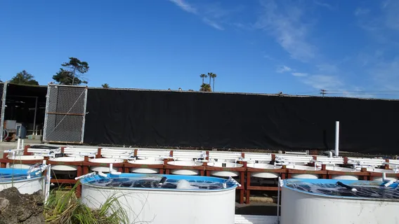 Agua Hedionda Lagoon Foundation (Discovery Center)