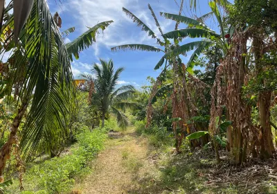 Walkers Reserve