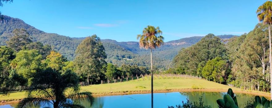 Yarrawa Estate