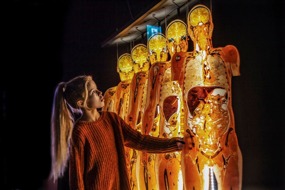 Body Worlds Museum - Anatomy of happiness