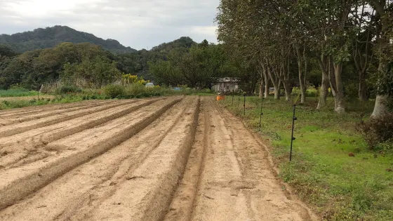 網野銚子山古墳