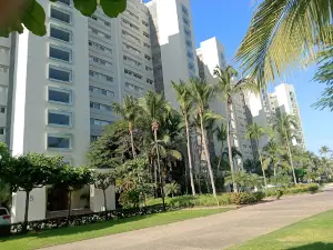 Parque, El Carrizo, Azoyu, Guerrero