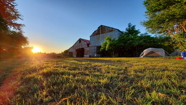 Reserva Nacional de Investigación Estuarina de Bahía de Jobos