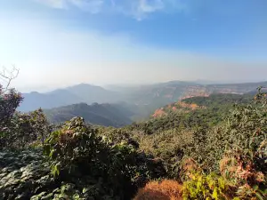 Dajipur Wild Safari, Radhanagari