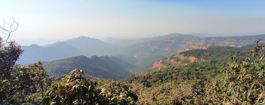 Dajipur Wild Safari, Radhanagari