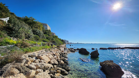 the Promenade Gardens