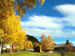 Ål kulturhus