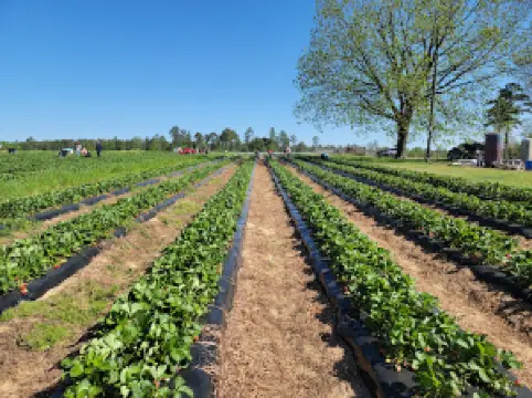 エリオット・ファームズ