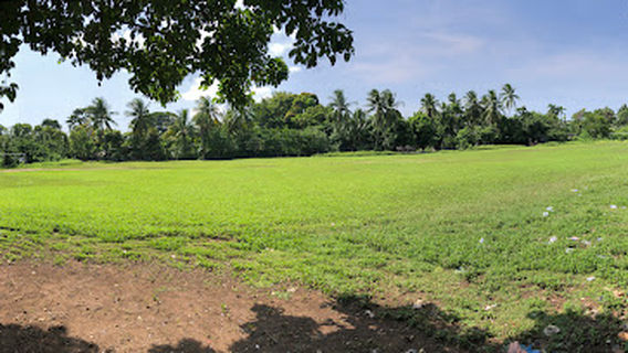 Campo de Fútbol el Palmo