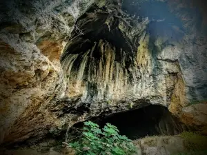 La Cova Negra